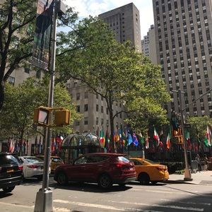 Meet your Posher, Reilly